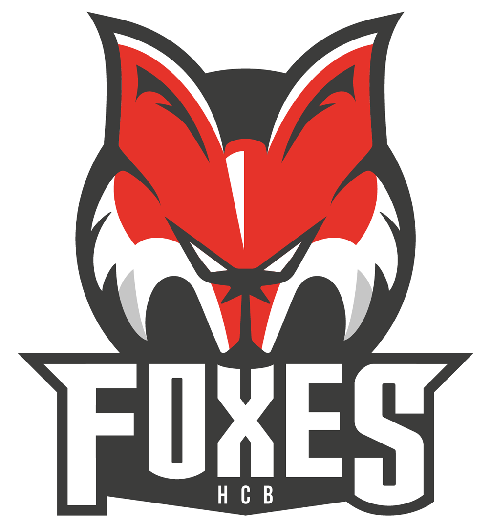 Bolzano-Bozen Foxes 2016-Pres Primary Logo iron on transfers for clothing